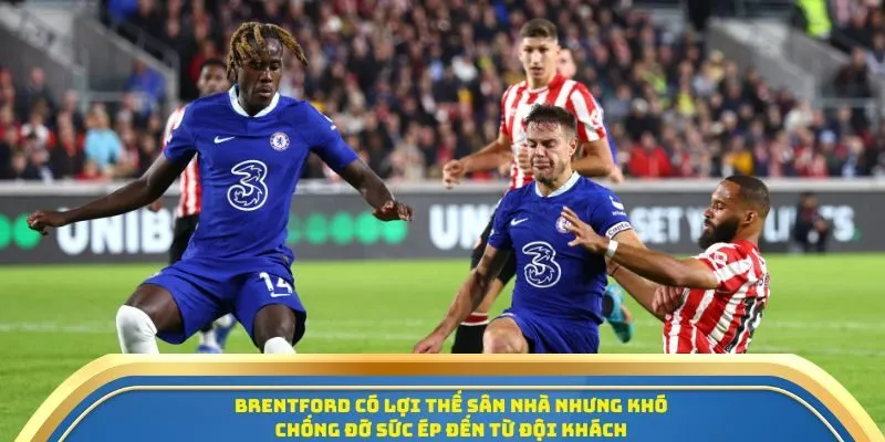 Soi Kèo Trận Đấu Brentford Vs Chelsea Ngày 14/09/2025 - Vòng 4 Ngoại Hạng Anh 4 Brentford có lợi thế sân nhà nhưng khó chống đỡ sức ép đến từ đội khách
