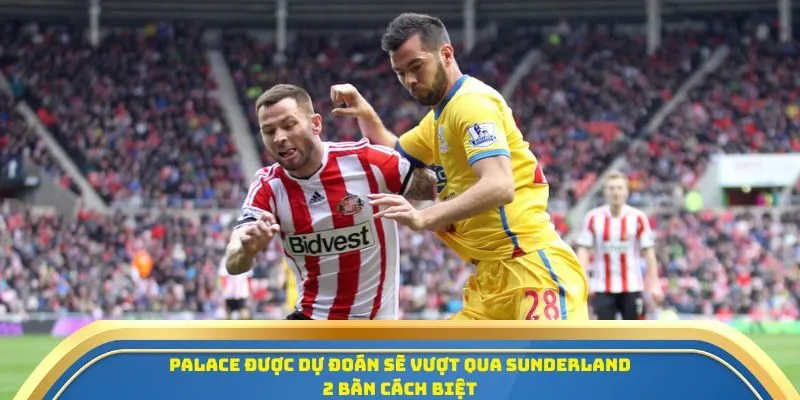 Soi Kèo Crystal Palace Vs Sunderland 13/09/2025 - Đại Bàng Thị Uy Tại Selhurst Park 4 Palace được dự đoán sẽ vượt qua Sunderland 2 bàn cách biệt