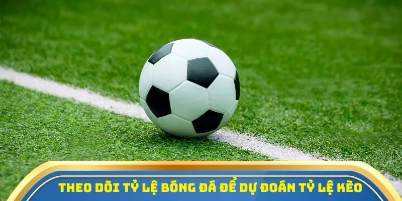 Theo dõi tỷ lệ bóng đá để dự đoán biến động tỷ lệ kèo chính xác