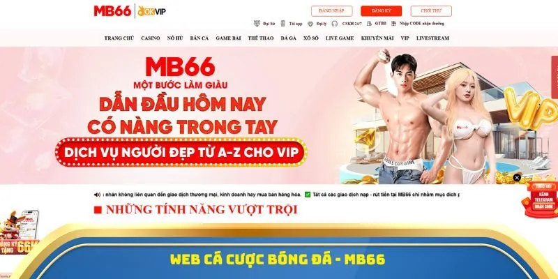 MB66